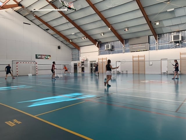 ASHB - Badminton